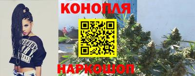 прущая мука Кингисепп