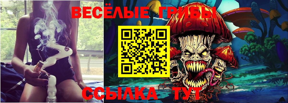 Псилоцибиновые грибы GOLDEN TEACHER  Псилоцибиновые грибы GOLDEN TEACHER  Вход с VPN  Красногорск 